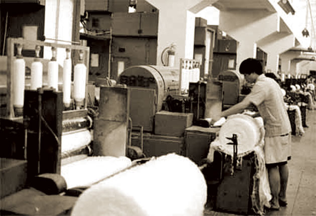 In 1989, the Shandong Weiqiao Pioneering Group entered the cotton spinning business